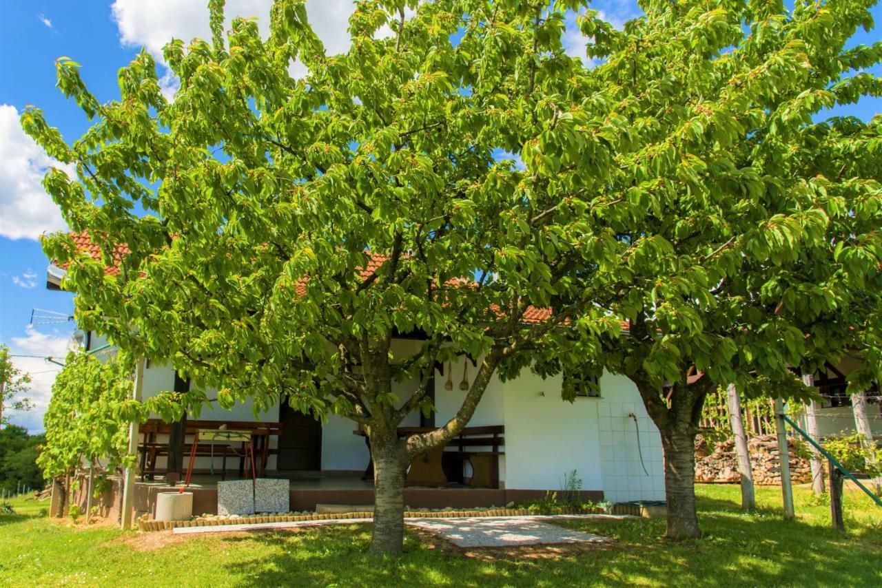 Zidanica Balantic Villa Dobrovnik Eksteriør bilde